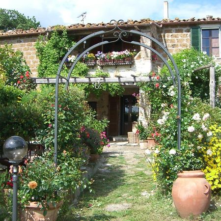 Le Querciolaie Monte Cavallo - Upper Apartment Сатурния Экстерьер фото