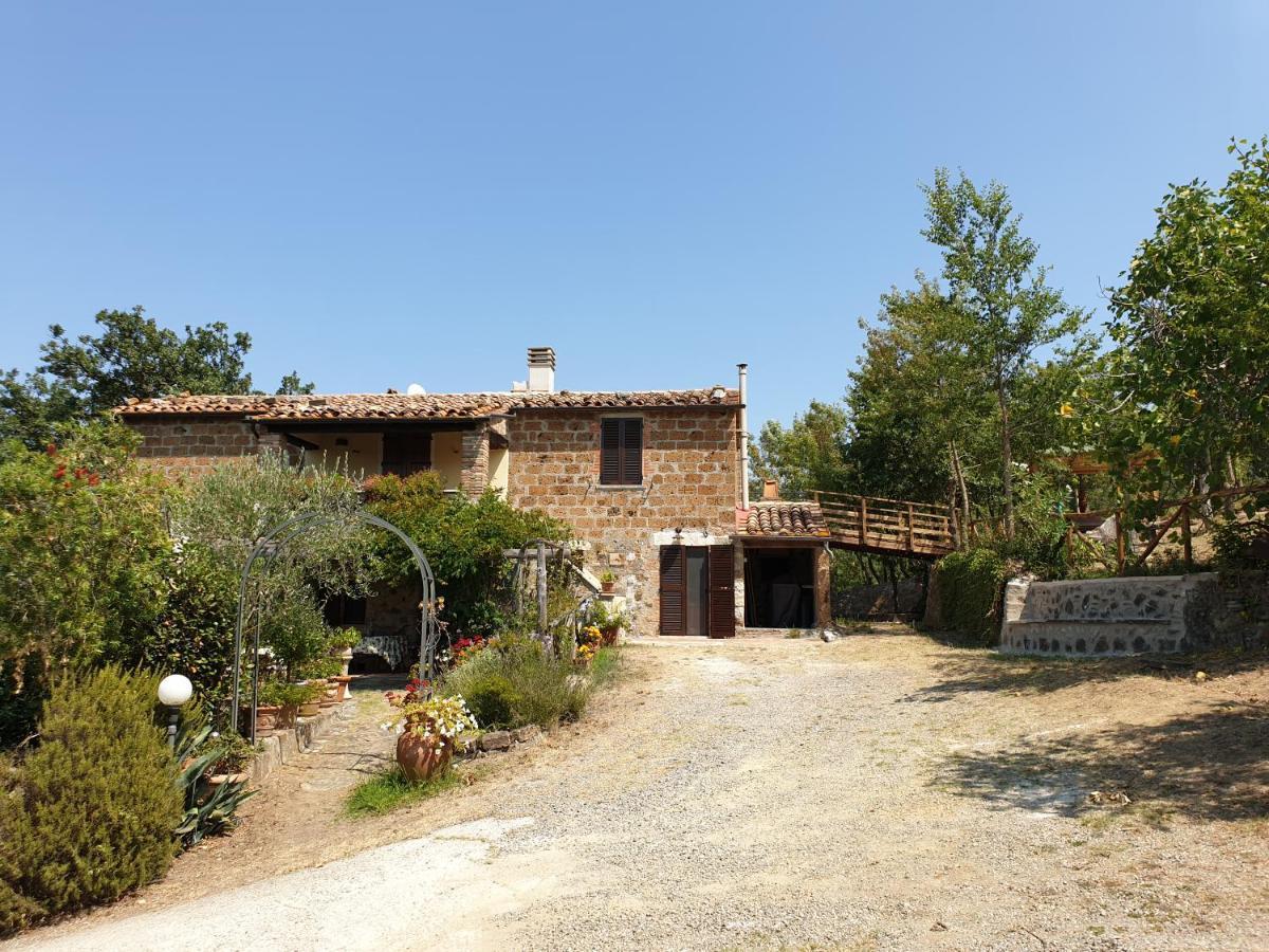Le Querciolaie Monte Cavallo - Upper Apartment Сатурния Экстерьер фото